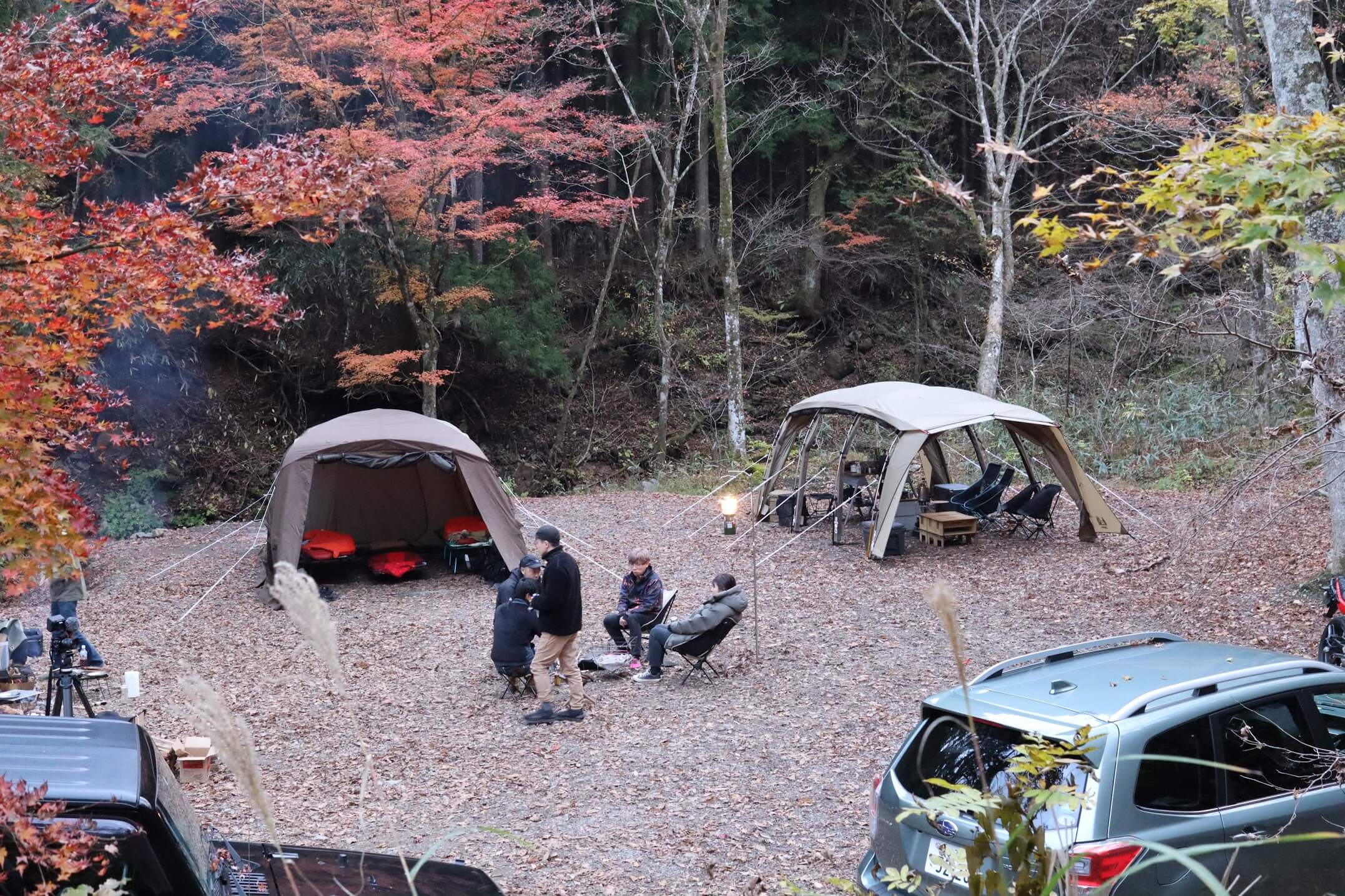 道志の森キャンプ場 全面フリーサイト
