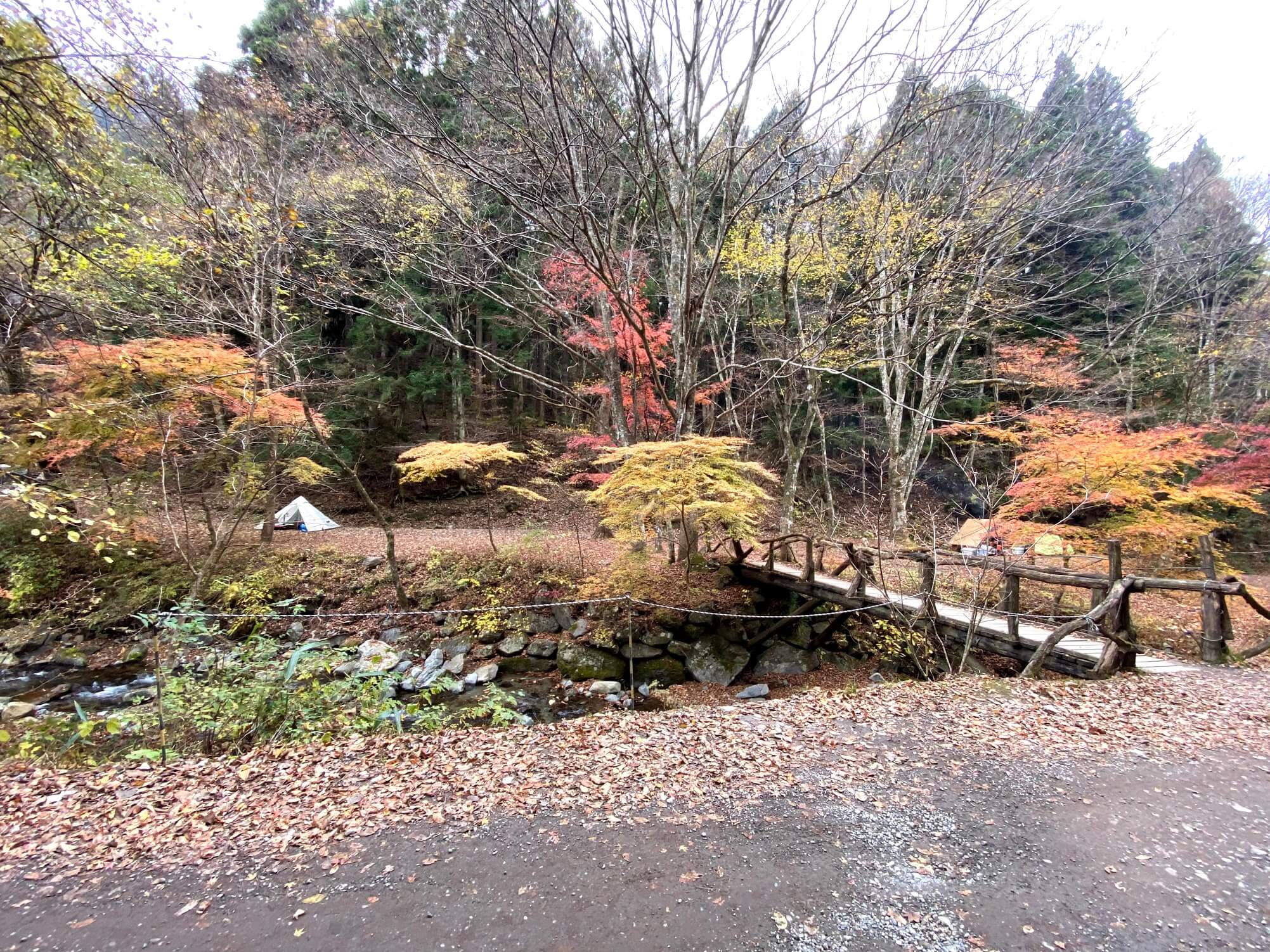 道志の森キャンプ場　川沿い