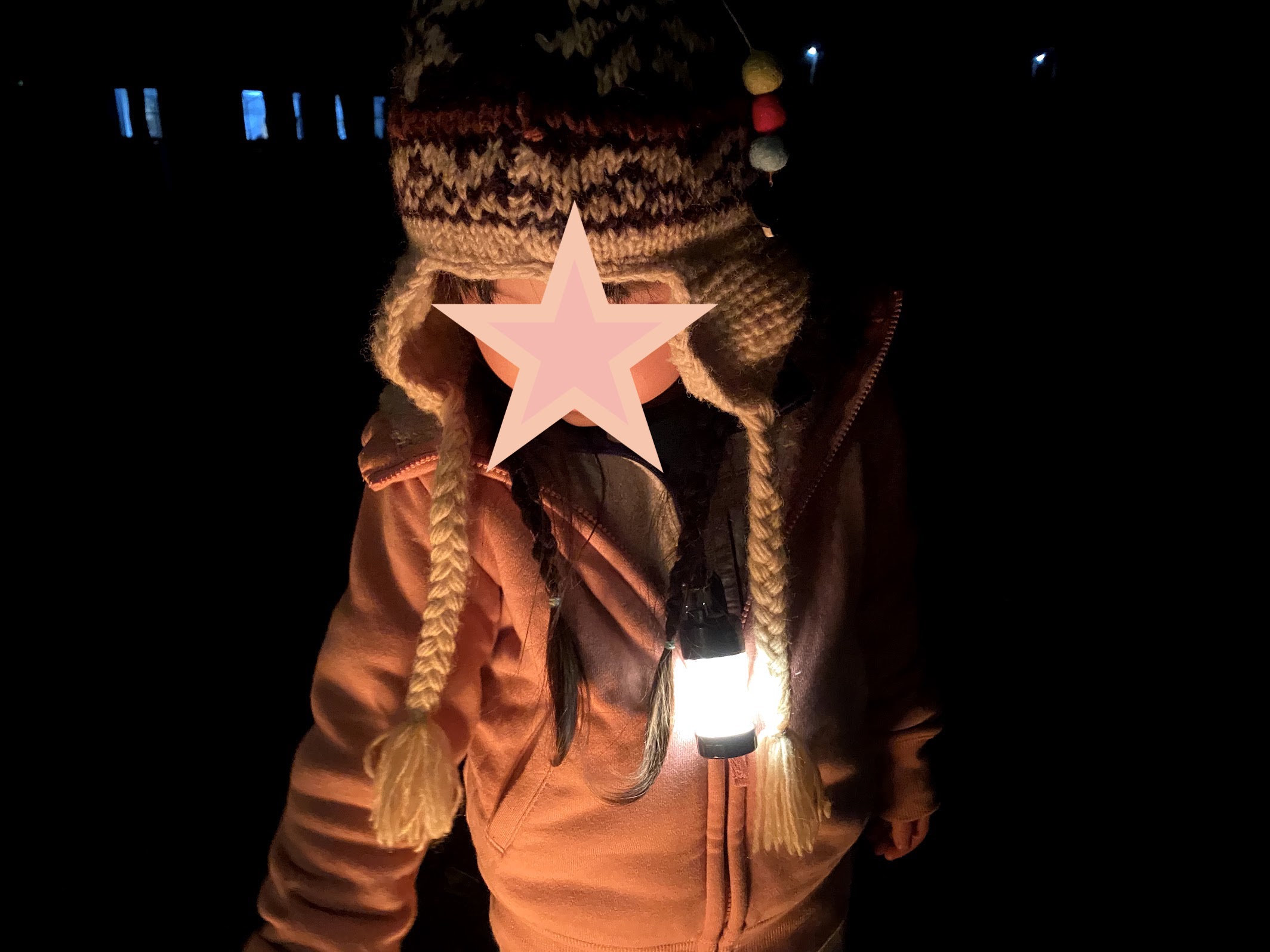 LEDLENSER(レッドレンザー)社 ML4　子供のトイレ用ライト