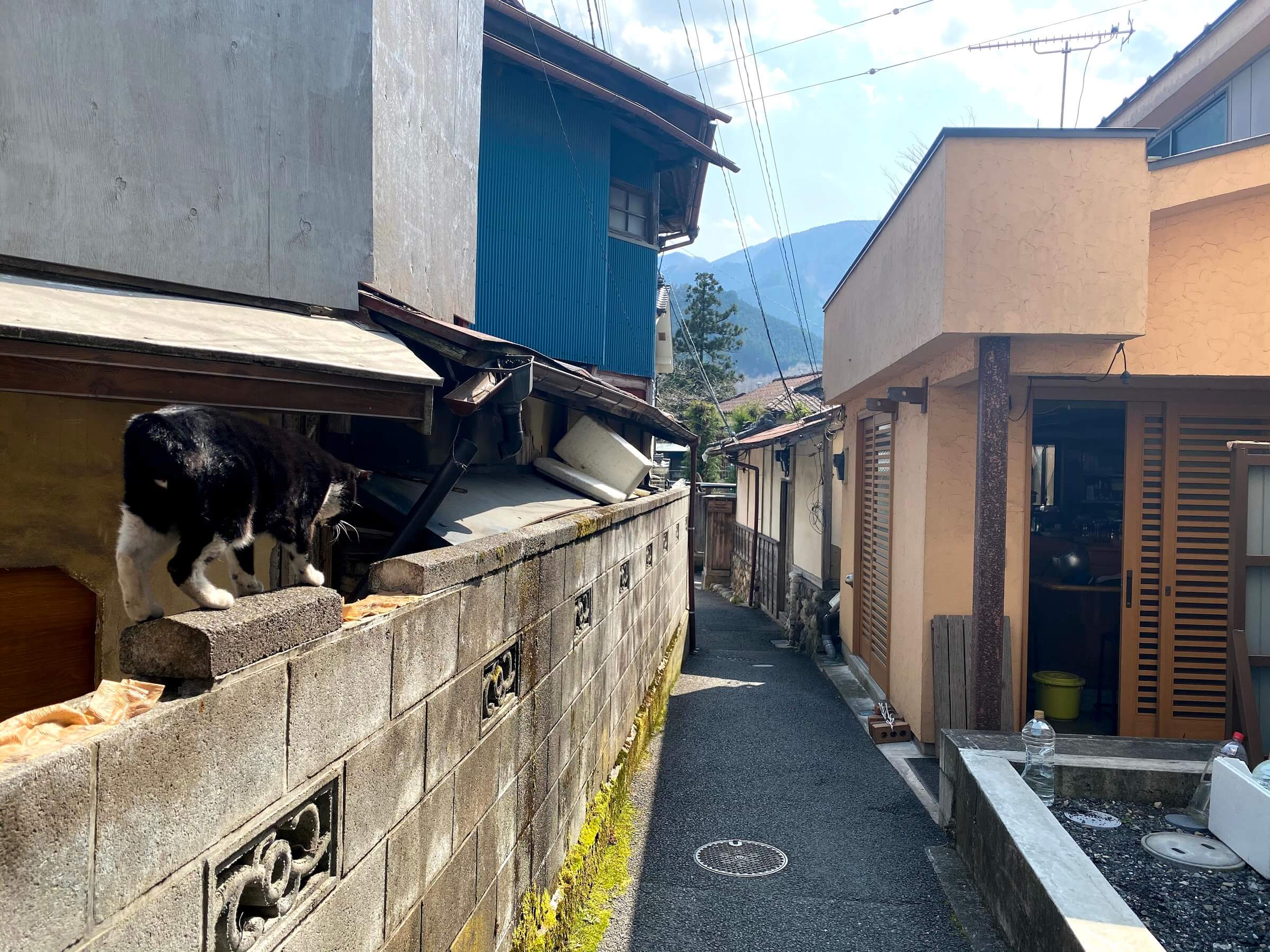 奥多摩 氷川キャンプ場　柳小路