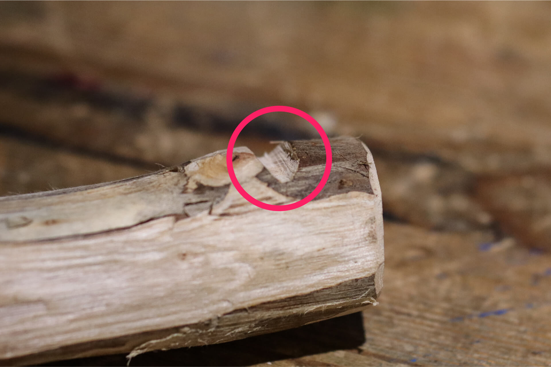 自作バックソー