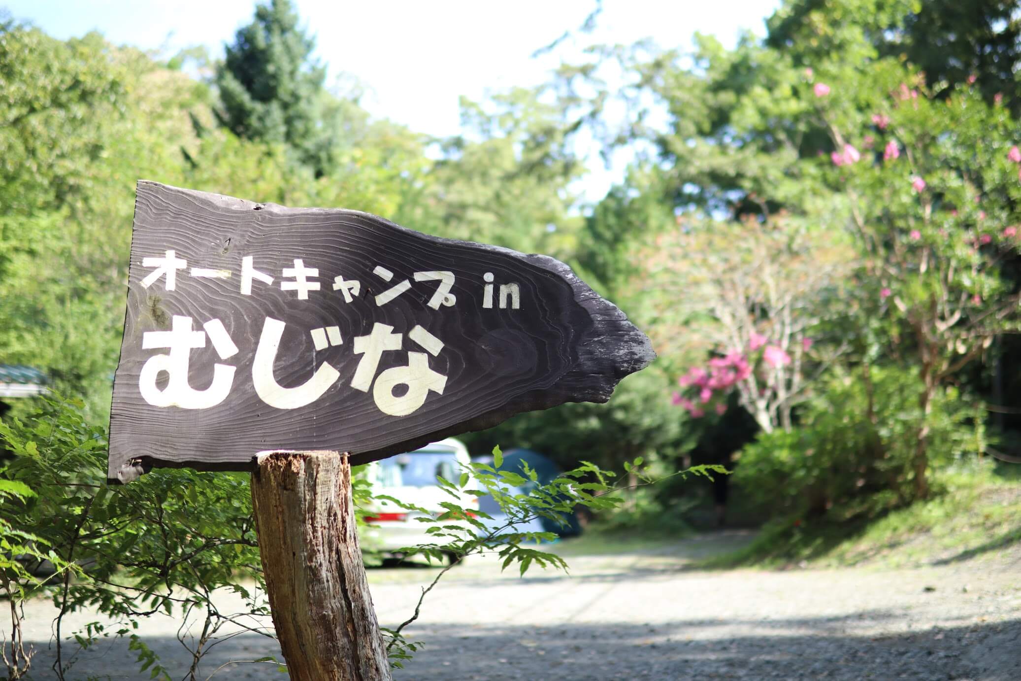 道志 オートキャンプインむじな　比較的空いている