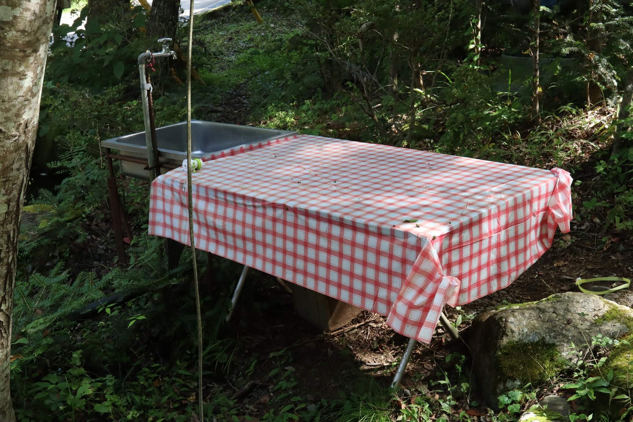 道志 オートキャンプインむじな　水道