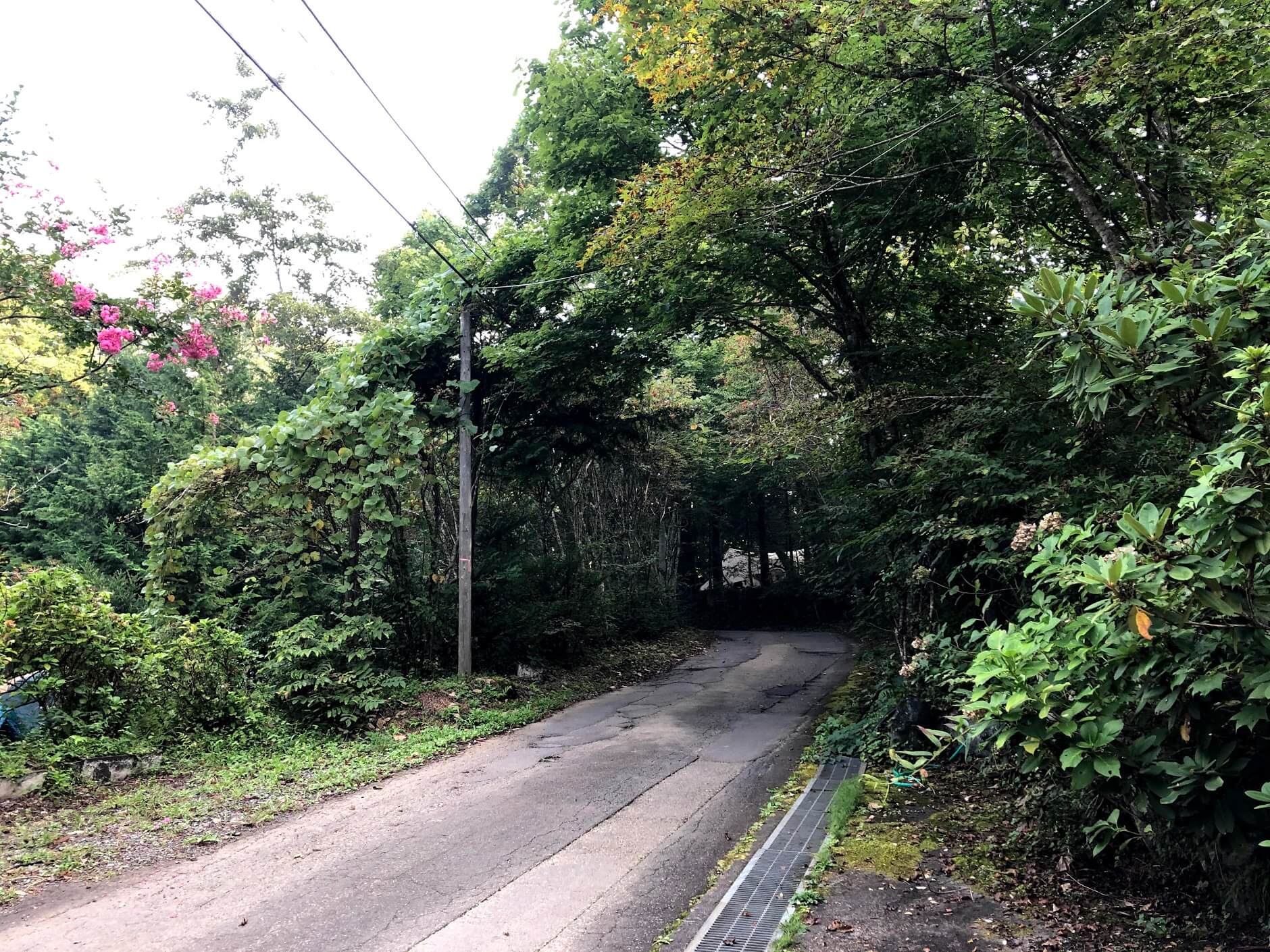 道志 オートキャンプインむじな　その他キャンプ場写真