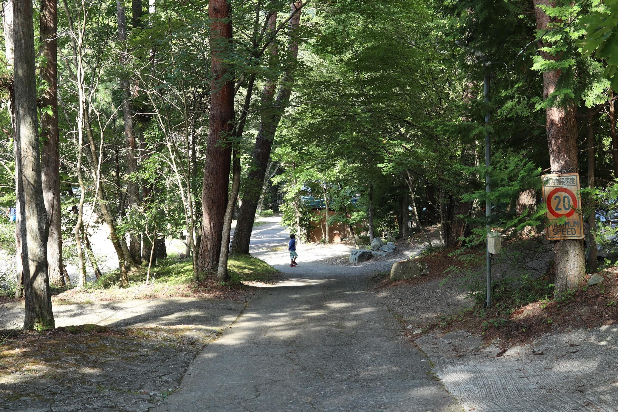 道志 オートキャンプインむじな　林間サイト