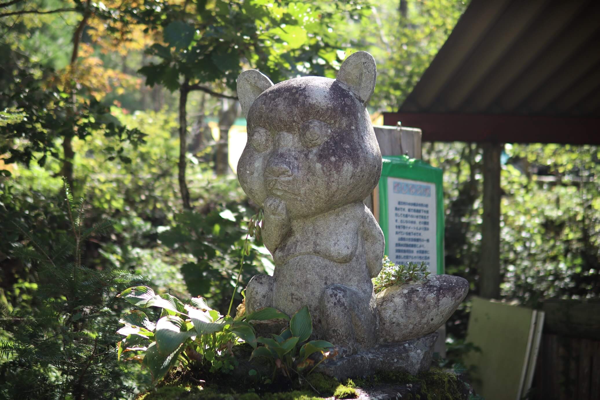 道志 オートキャンプインむじな　むじな氏