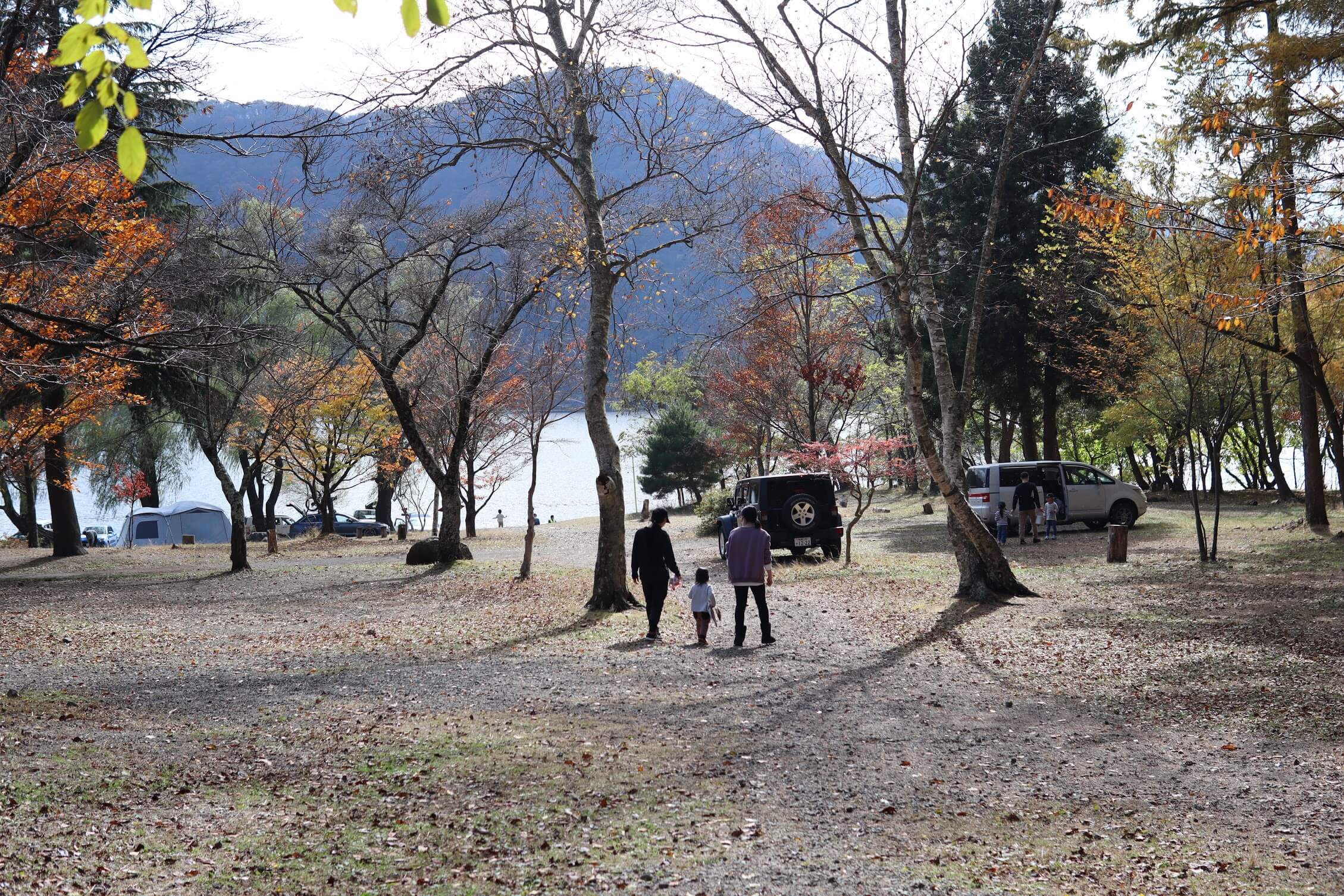 西湖キャンプ・ビレッジ 「ノーム」F-ZONE