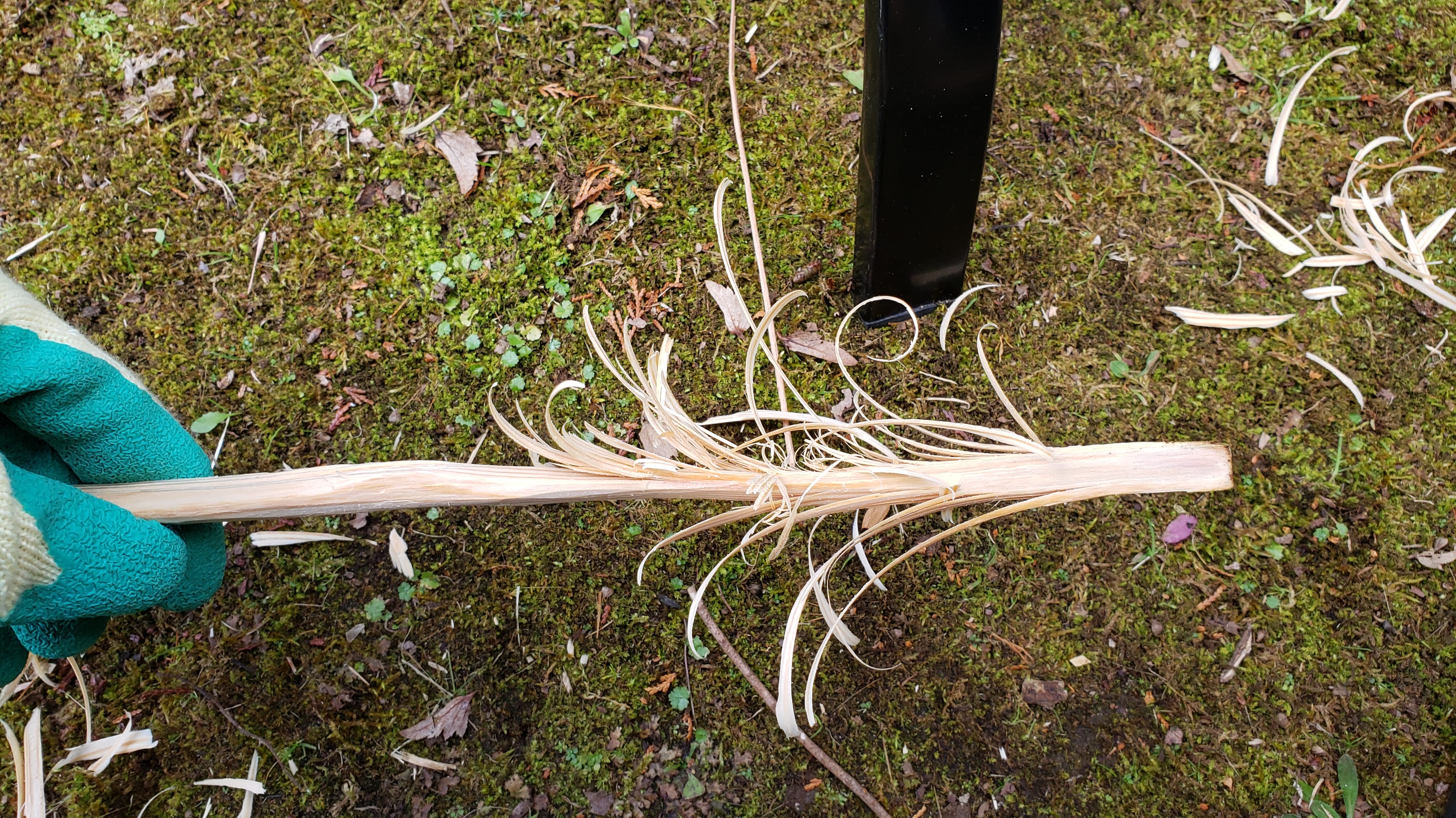 フェザースティック