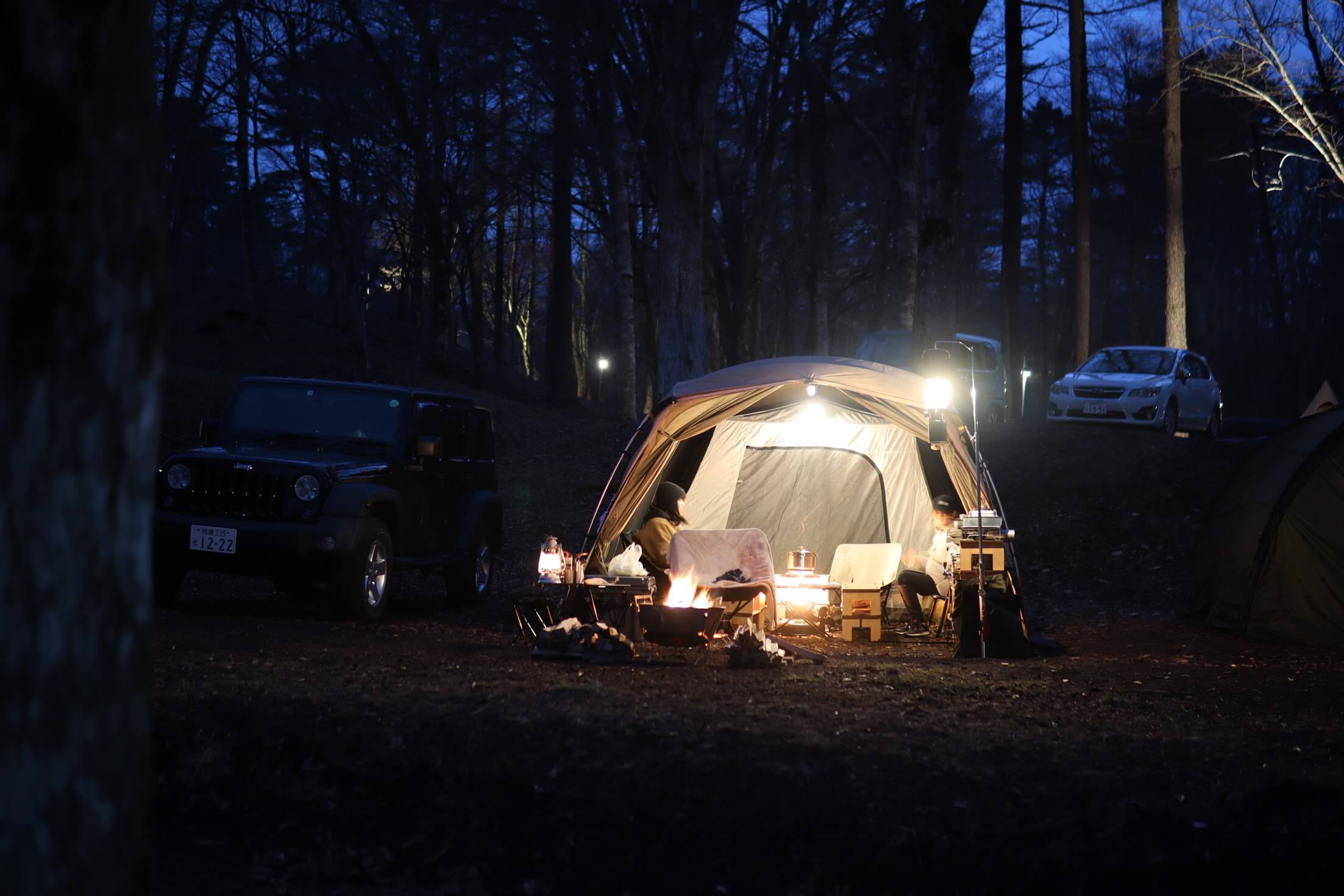 トヨトミ レインボーストーブ（石油ストーブ）RL-250-G 照明