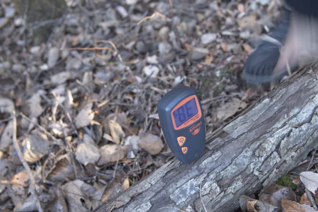 「生の木」の含水率