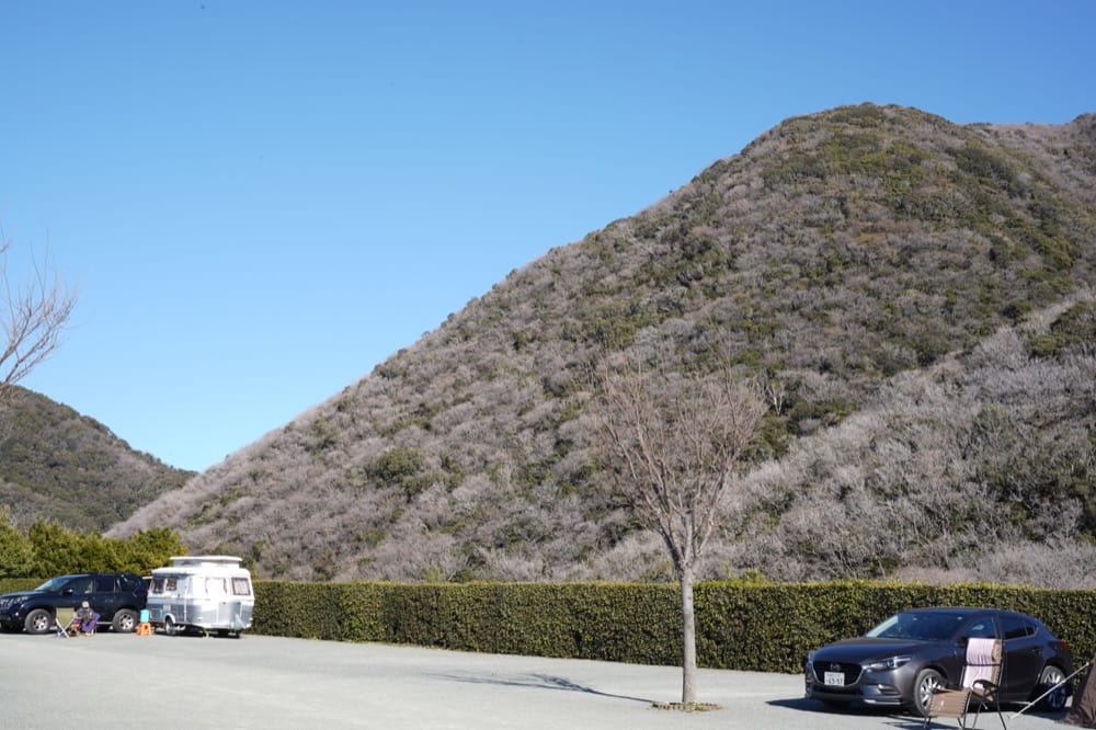 雲見夕陽と潮騒の岬オートキャンプ場 よく整備されたテントサイト