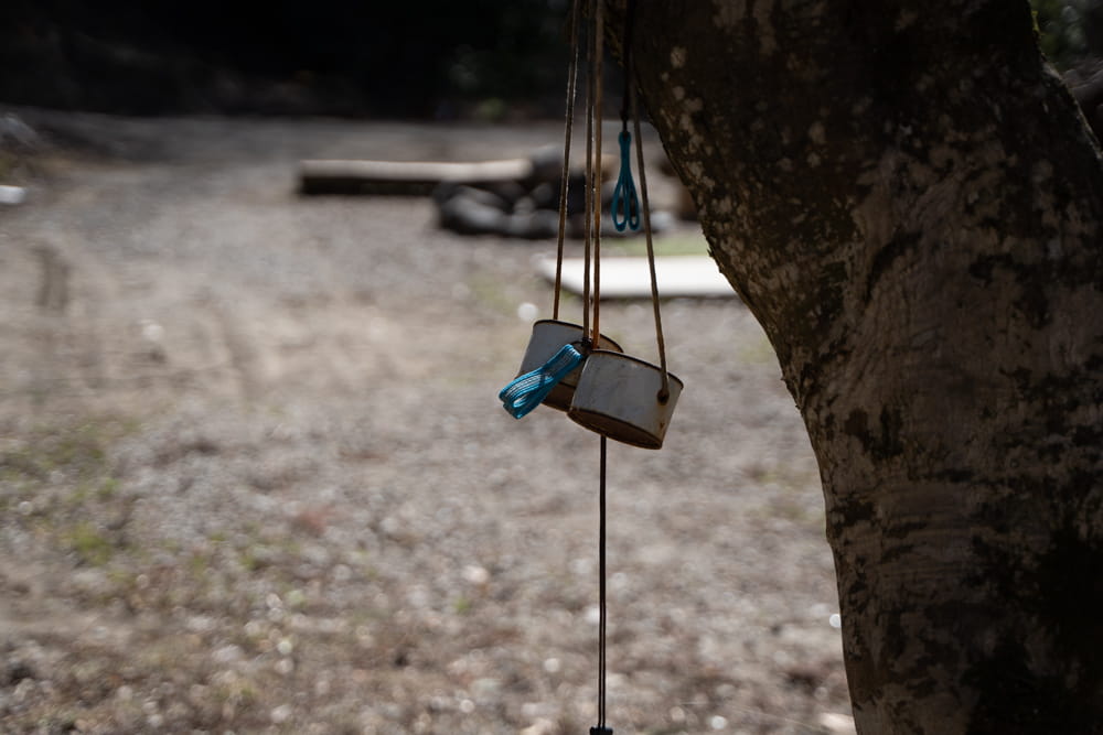 晴家村（はれるやむら）キャンプ場