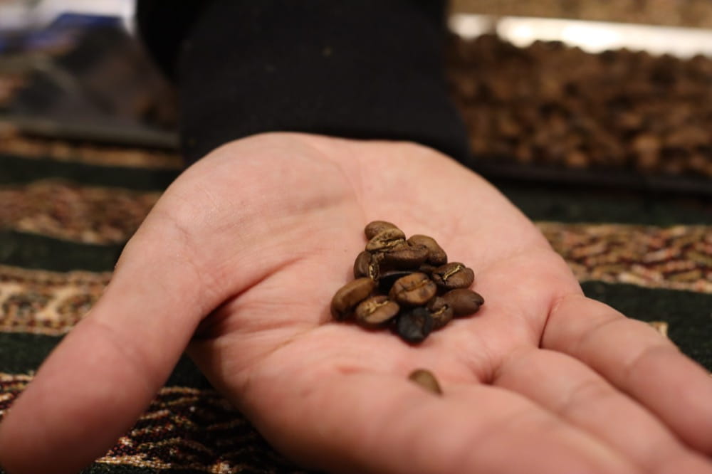 KEY COFFEE　焙煎オンラインイベント　焙煎後　コーヒー豆 見た目