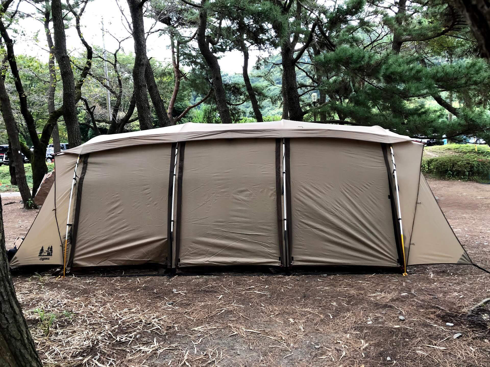未使用 ogawa オガワ キャンプ アウトドア アポロン トンネル型テント 